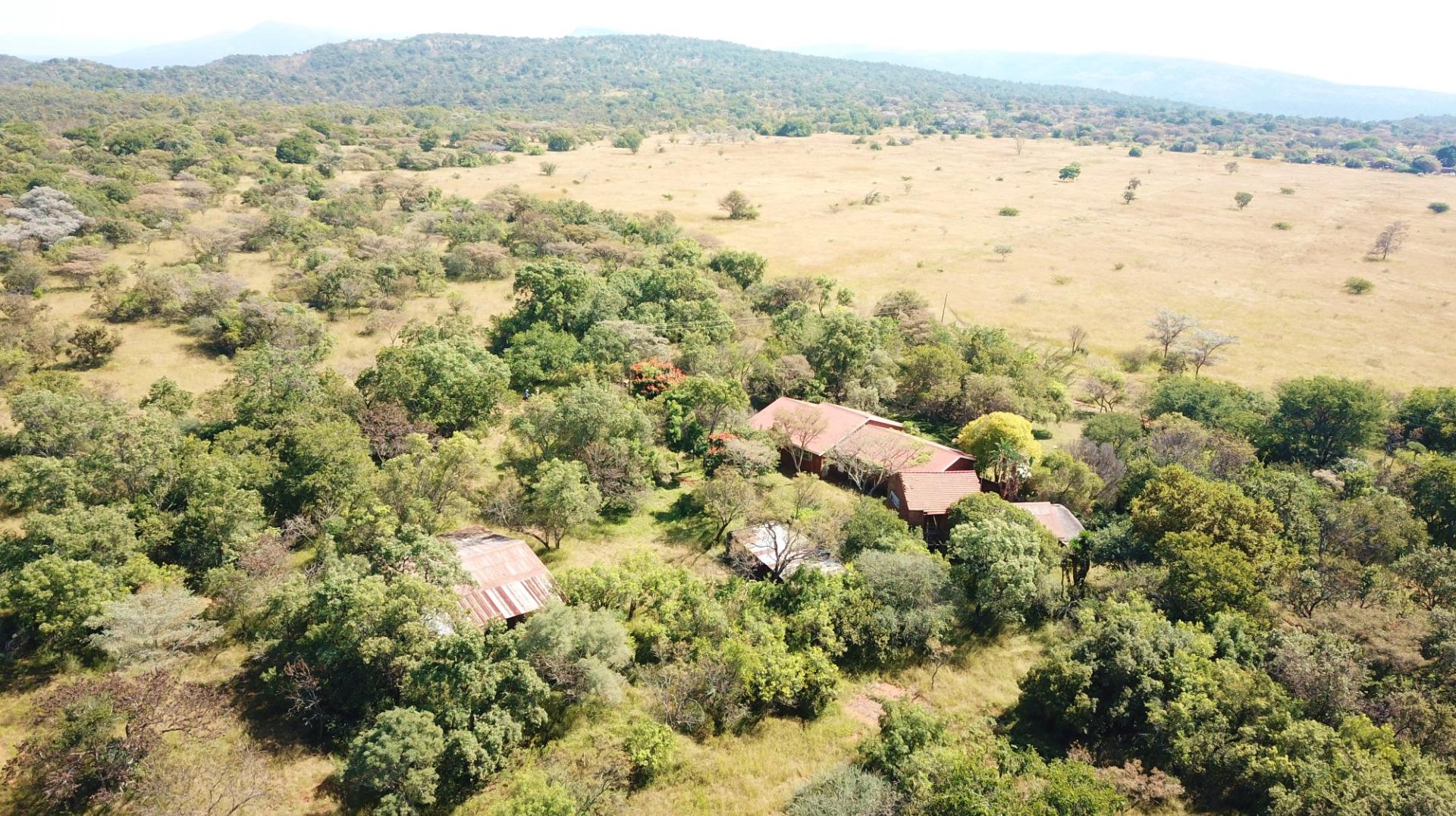 Farm for Sale - Limpopo